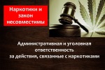 Уголовная и административная ответственность за преступления и правонарушения в сфере незаконного оборота наркотиков