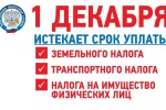 Менее месяца остаётся на то, чтобы физические лица своевременно исполнили налоговые уведомления за 2020 год