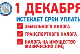 Кампания по имущественным налогам физических лиц за 2025 год